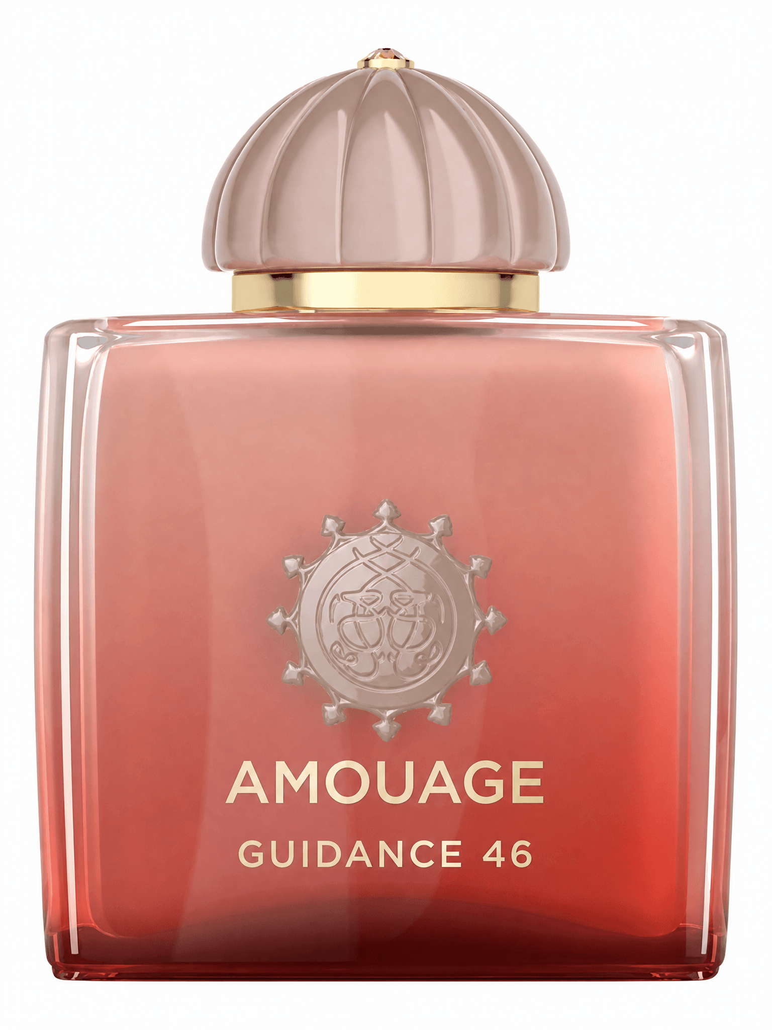 Flacon de Guidance 46 de Amouage