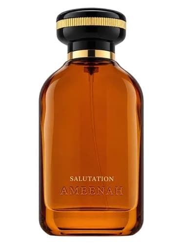 Ameenah Salutation
