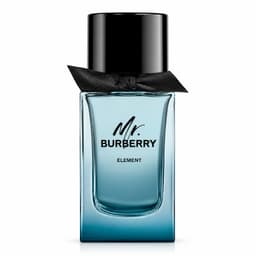 Mr. Burberry Element