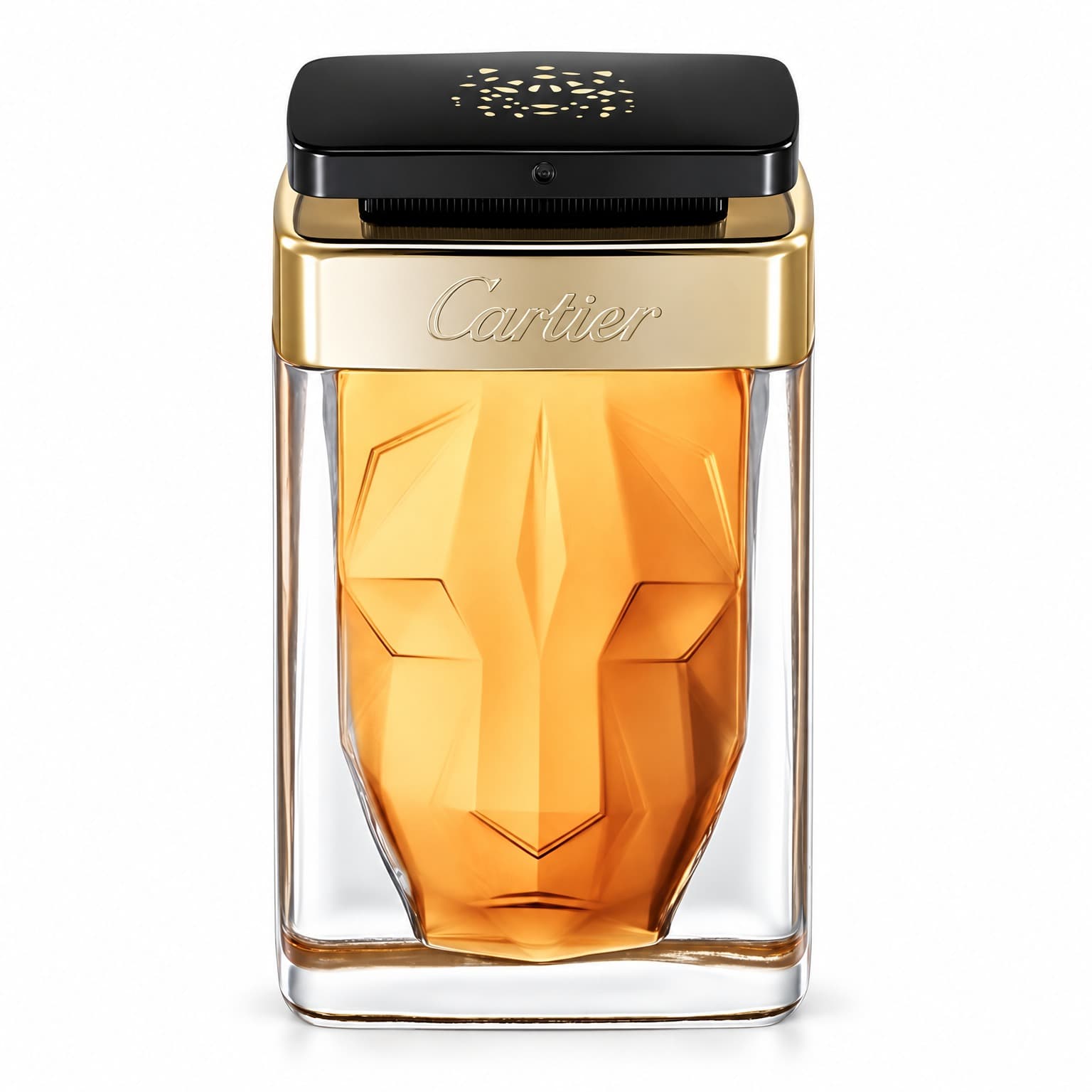 La Panthère Noir Absolu