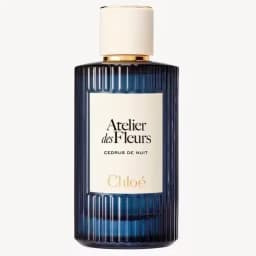 Cedrus de Nuit Eau de Parfum — Chloé