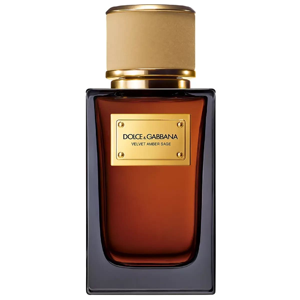 Dolce & Gabbana Amber Velvet Sage