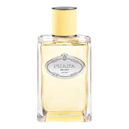 Infusion de Mimosa, Prada