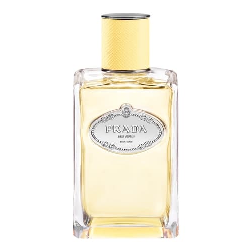 Infusion de Mimosa, Prada