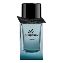 Mr. Burberry Element, Burberry
