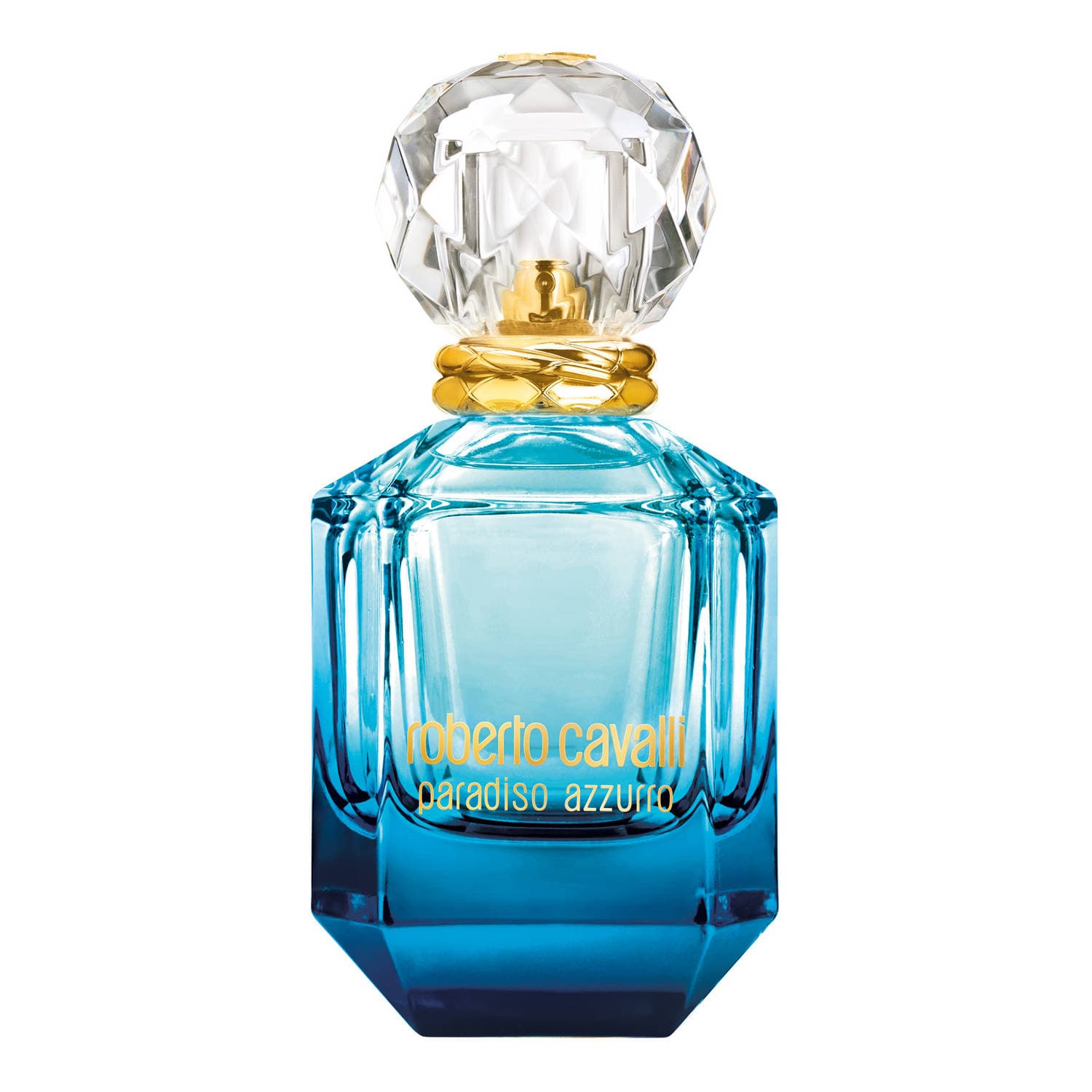Paradiso Azzurro, Roberto Cavalli