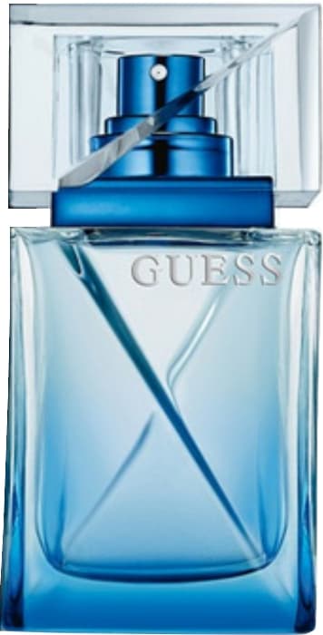 Guess Night, Guess