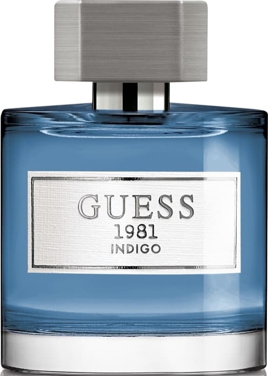 1981 Homme Indigo, Guess