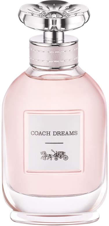 Coach Dreams, Coach