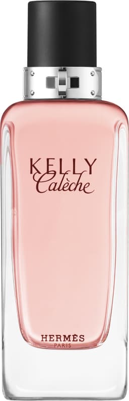 Kelly Calèche, Hermès