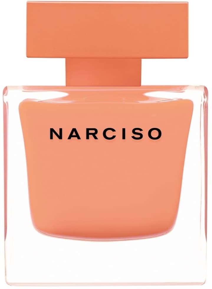 Narciso Ambrée, Narciso Rodriguez