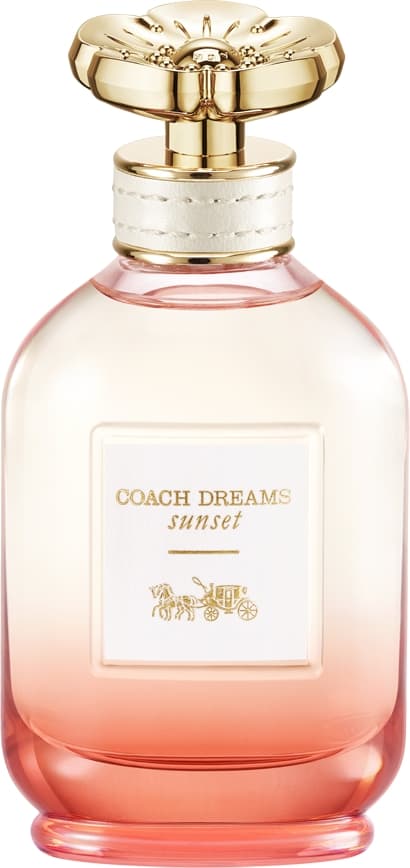Coach Dreams Sunset, Coach