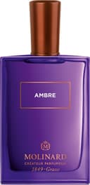 Ambre