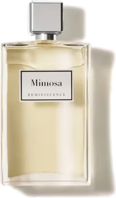 Mimosa, Réminiscence