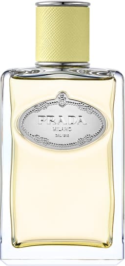 Infusion de Gingembre, Prada