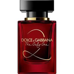 The Only One 2, Dolce & Gabbana