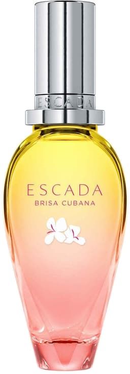 Brisa Cubana, Escada