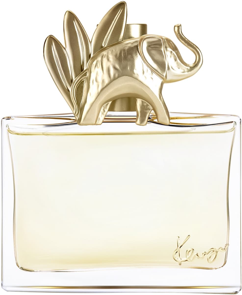 Jungle, Kenzo