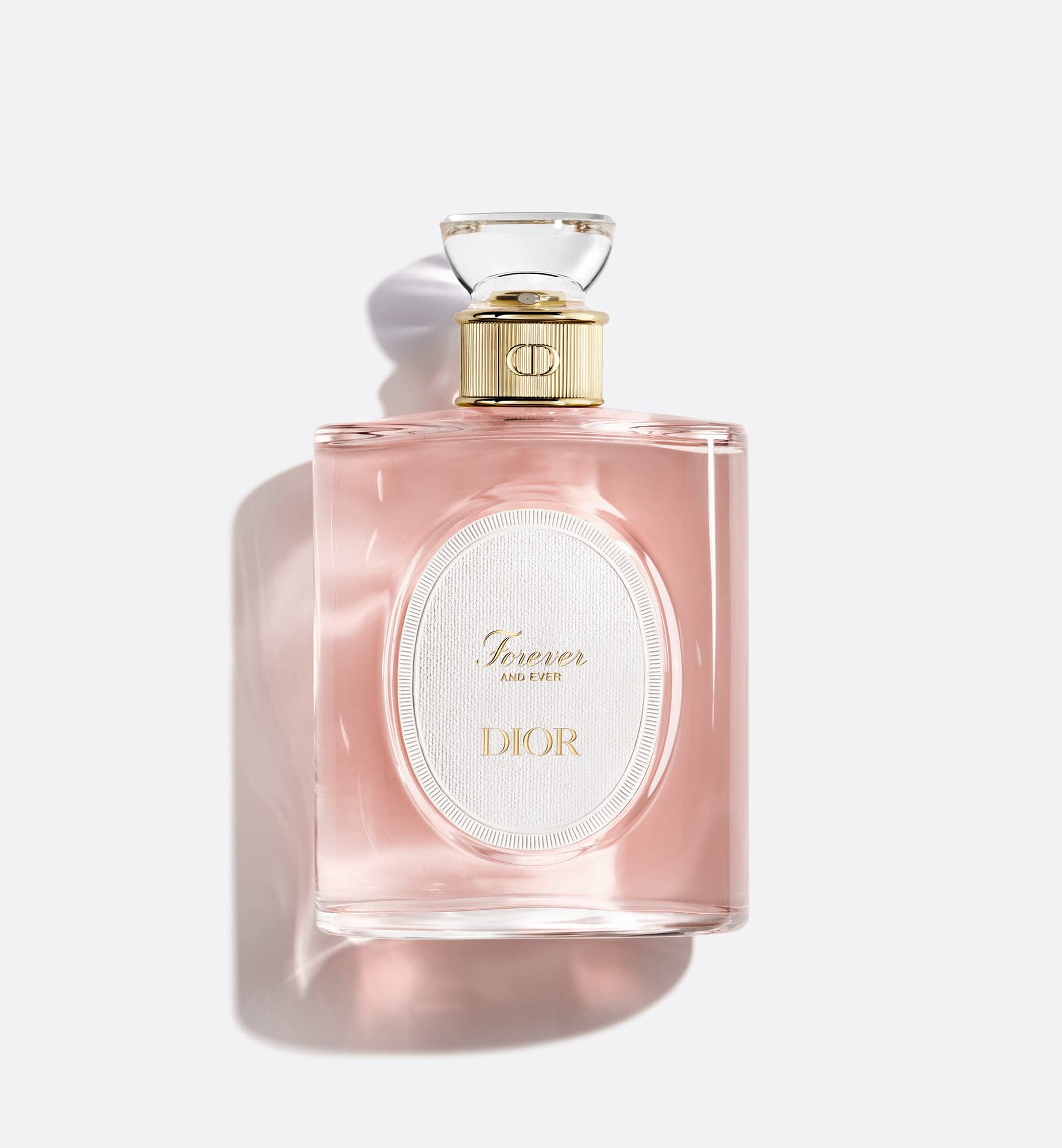 Christian Dior DIOR Forever and Ever