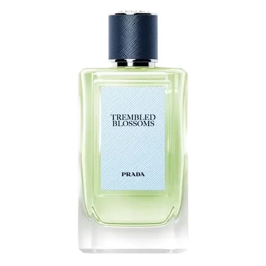 Trembled Blossoms Eau de Parfum — Prada