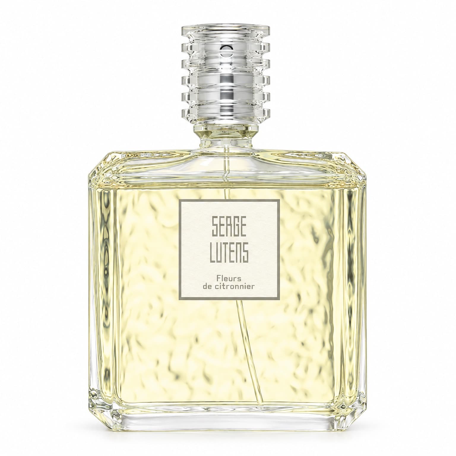 Fleurs de Citronnier