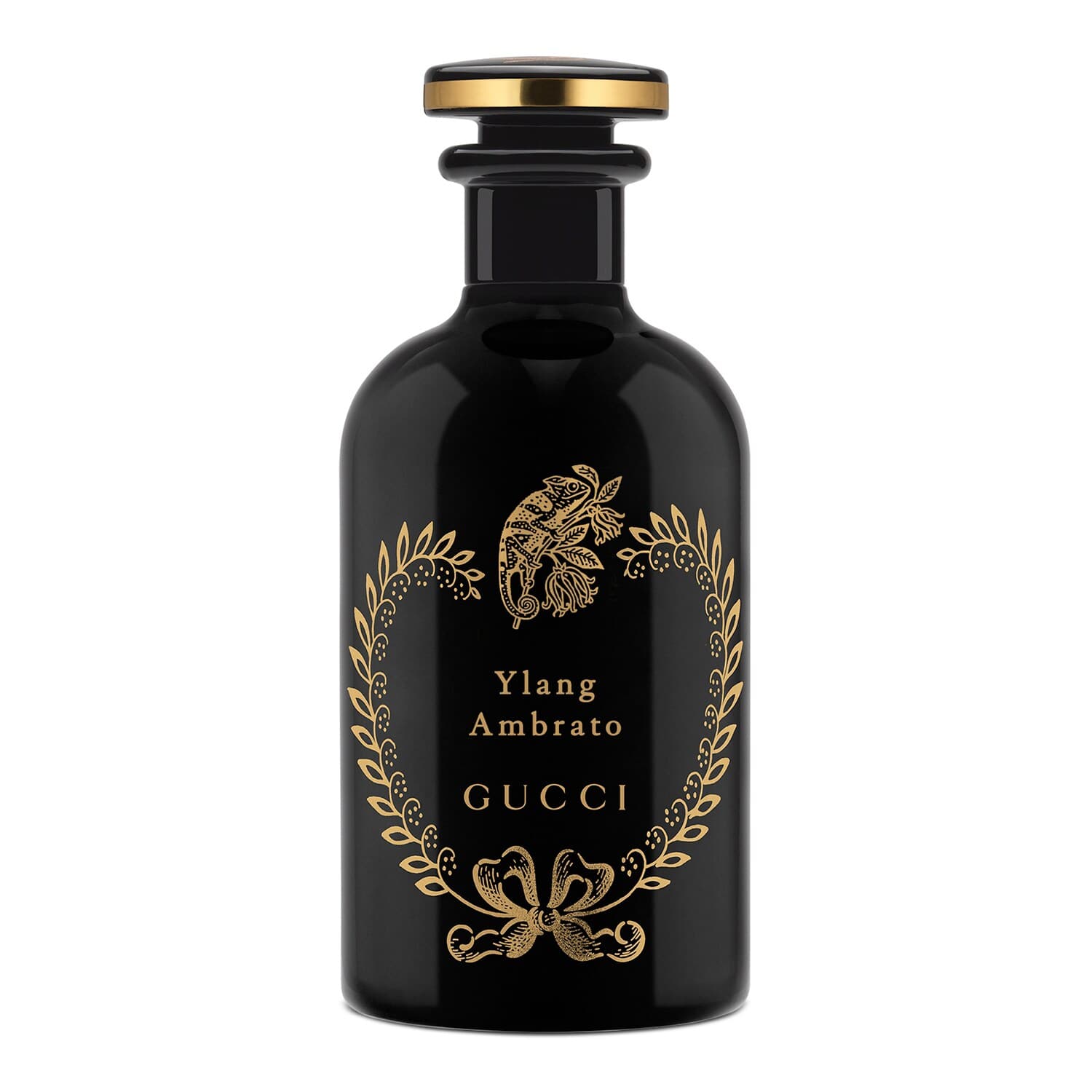 Ylang Ambrato, Gucci