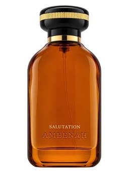 Ameenah Salutation