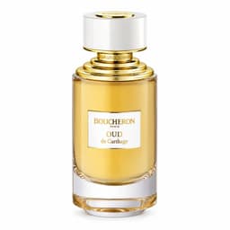 Oud de Carthage