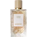 Cashmere Embrace