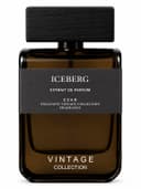 Iceberg