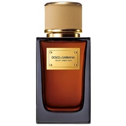 Dolce & Gabbana Amber Velvet Sage