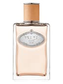Infusion de Santal Chai