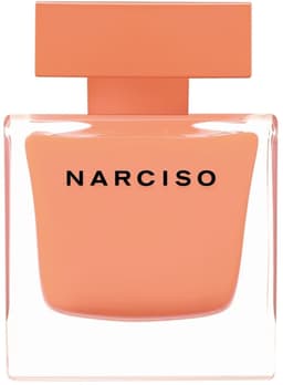 Narciso Ambrée, Narciso Rodriguez