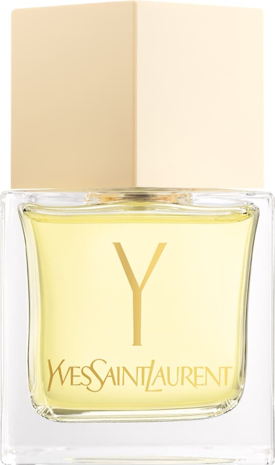 Y Femme, Yves Saint Laurent