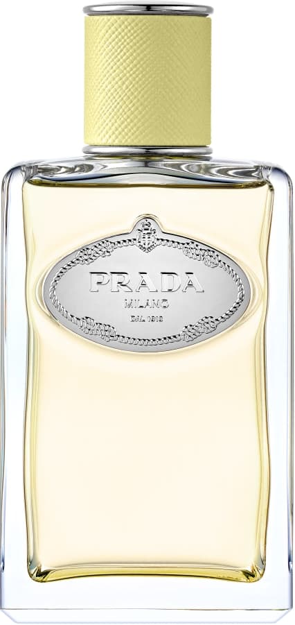 Infusion de Gingembre, Prada