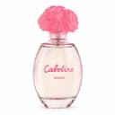 Cabotine Rose