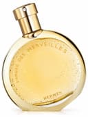 L'Ambre des Merveilles