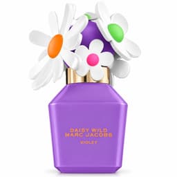 Daisy Wild Violet