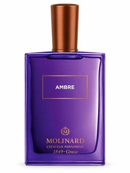Ambre