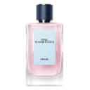 Pink Flamboyance