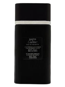 Cartier Santos Eau de Toilette