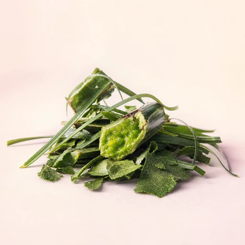 Verte