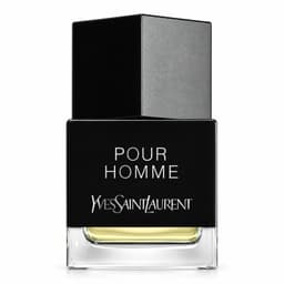 YSL pour Homme