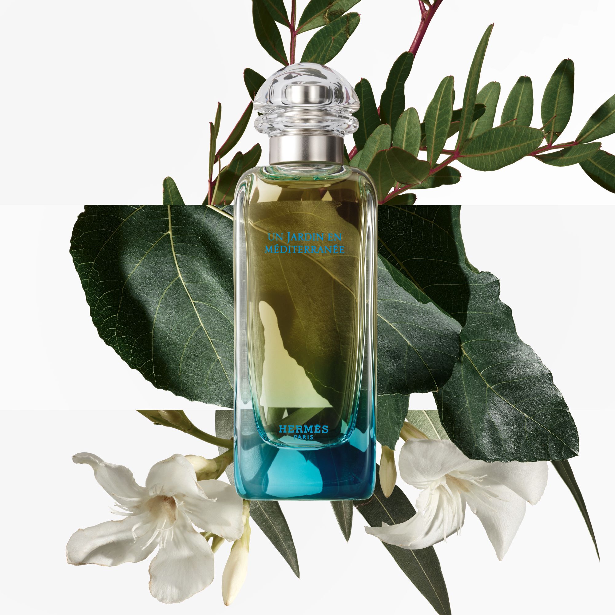 HERMES UN JARDIN EN MÉDITERRANÉE 200ml The bottle of Un Jardin en Méditerranée (Hermès) — Olfastory