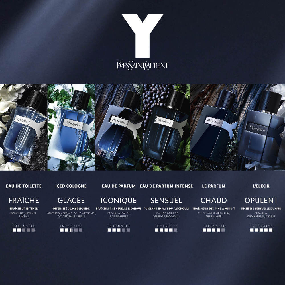Y Iced Cologne (Yves Saint Laurent): notes, composition and