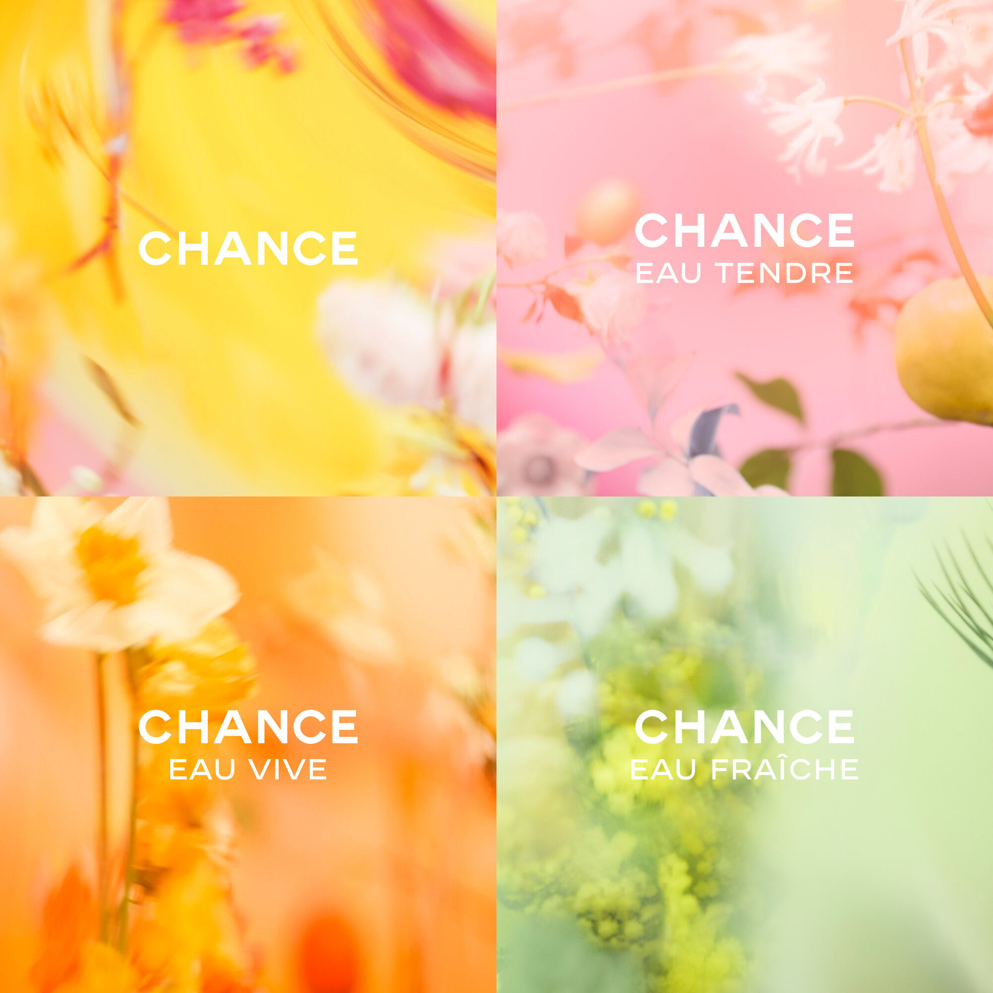 Chance Eau Vive: composition and fragrance notes (Chanel) — Olfastory