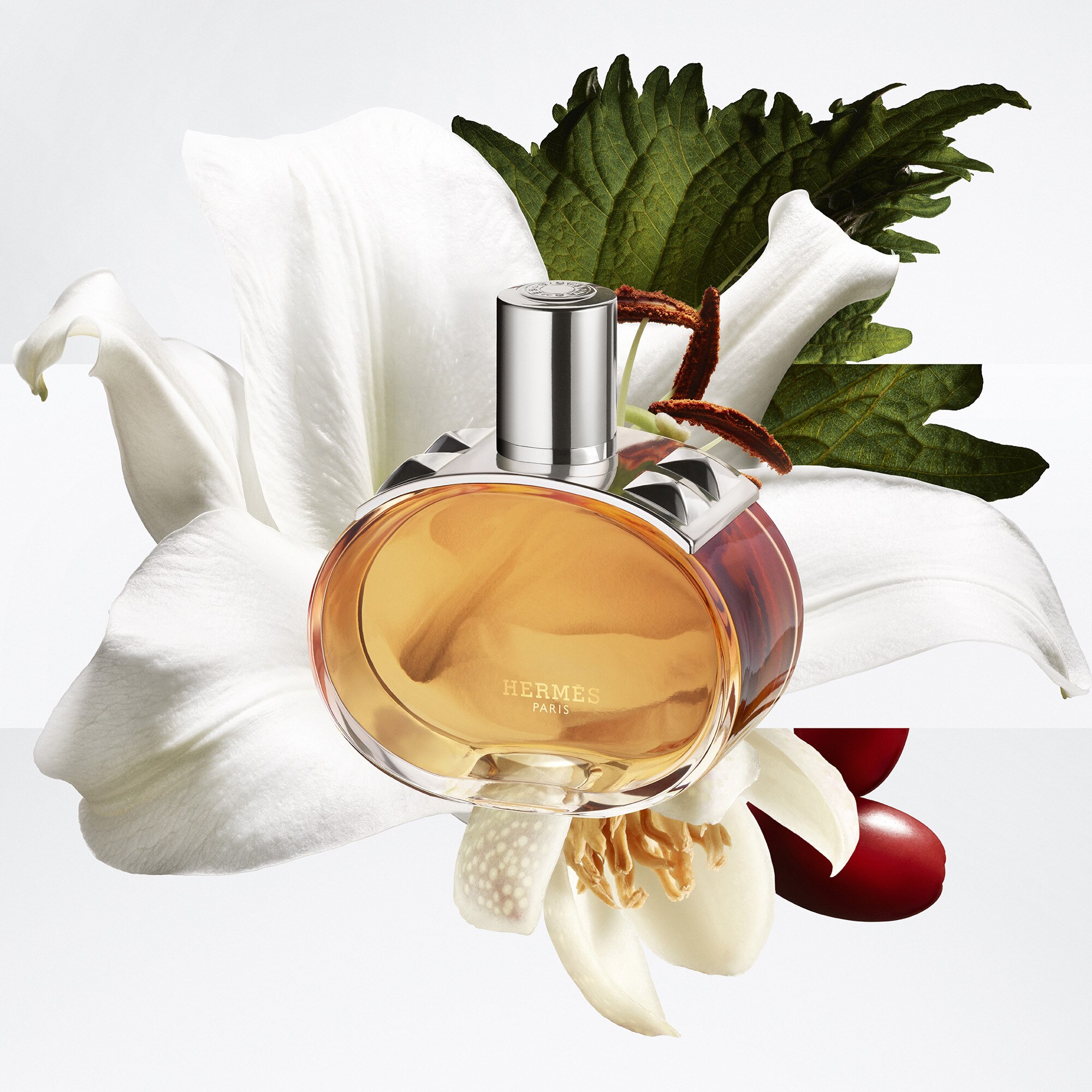 The bottle of Barénia Pleine Fleur (Hermès) — Olfastory