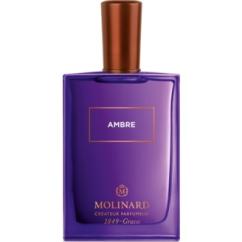 ambre_2_1.jpg