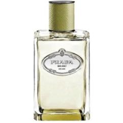 prada-infusion-vetiver_1.jpg
