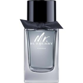 Burberry Mr. Burberry Indigo Eau de Toilette